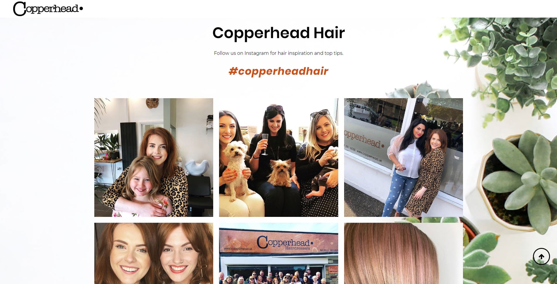 copperhead hairdressers website design