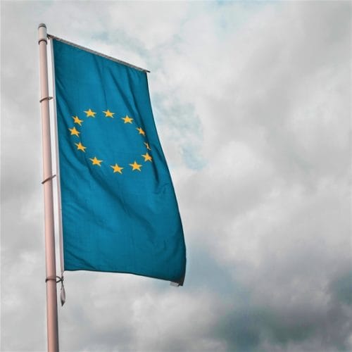 Civil Society Brexit Flag