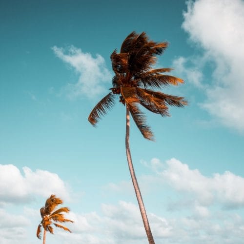 Barbados Villa Website