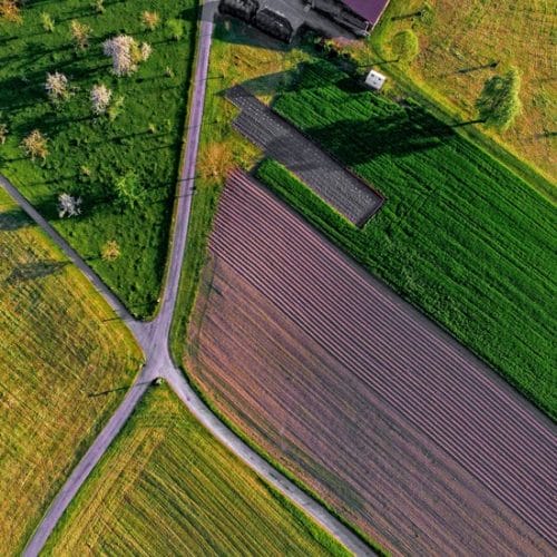 Farmers Eye Website Design