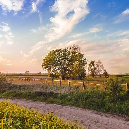 Electric Fencing Direct Magento