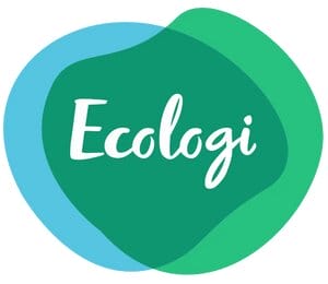 Our Partnership with Ecologi 2024